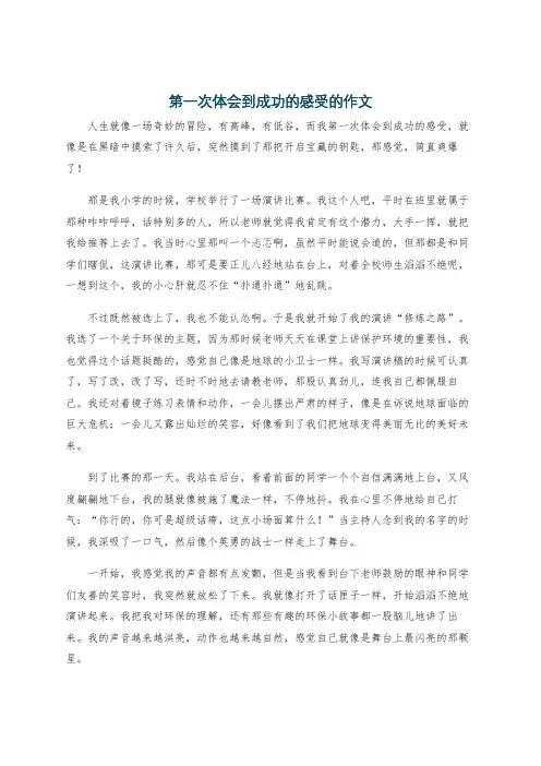 第一次体会到成功的感受的作文