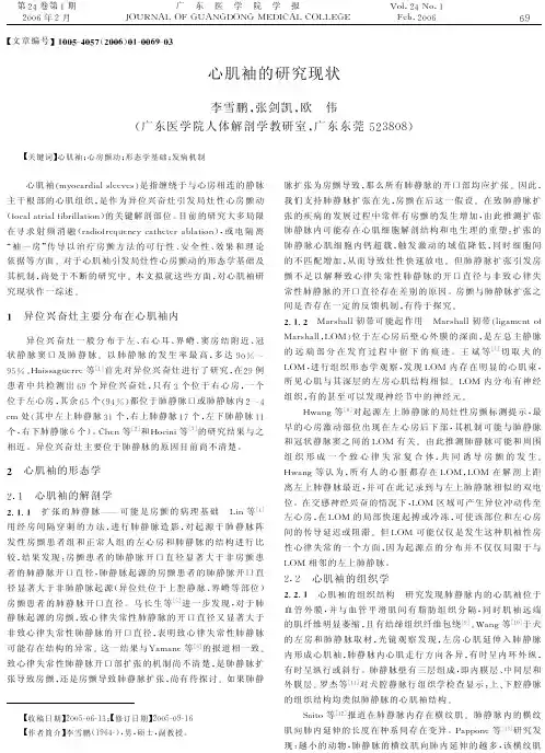 心肌袖的研究现状