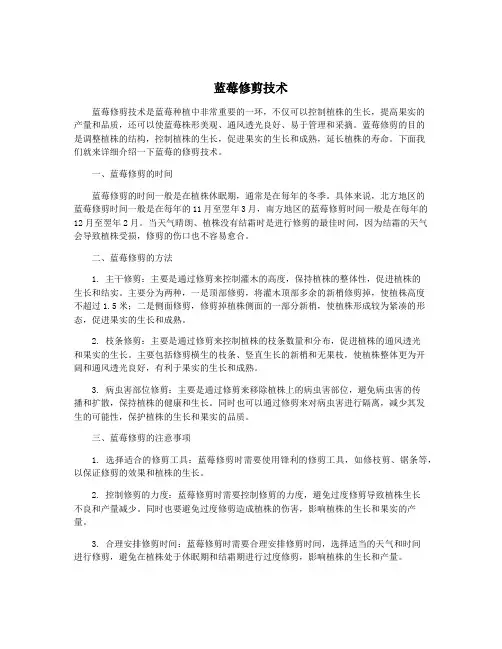 蓝莓修剪技术