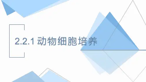 2.2.1动物细胞培养  (17张PPT)