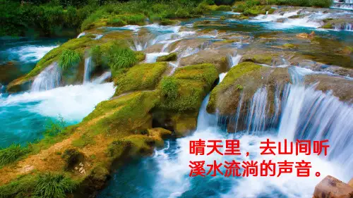 小学语文三年级上册16 金色的草地