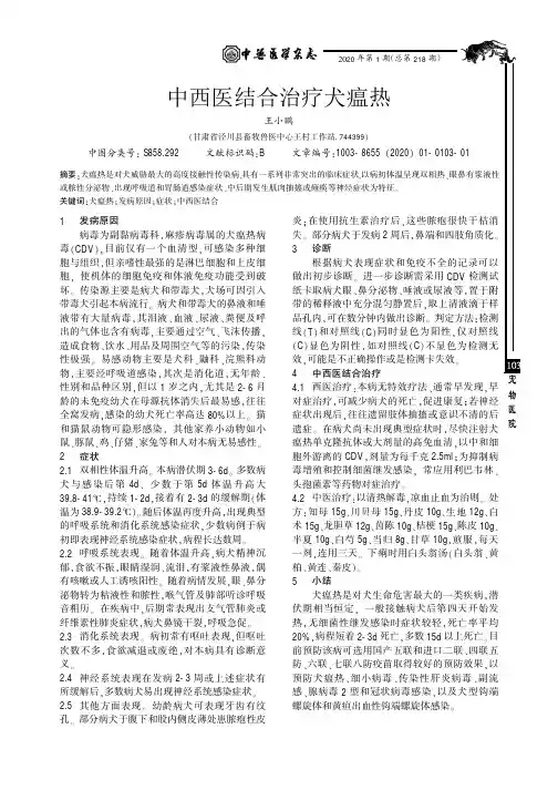 中西医结合治疗犬瘟热