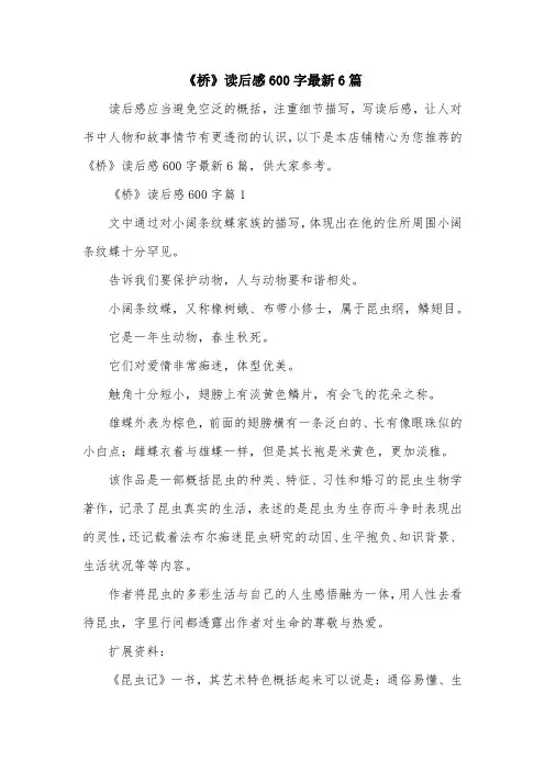 《桥》读后感600字最新6篇