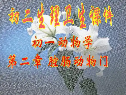 九年级生物腔肠动物门1