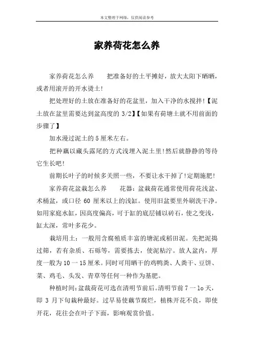 家养荷花怎么养