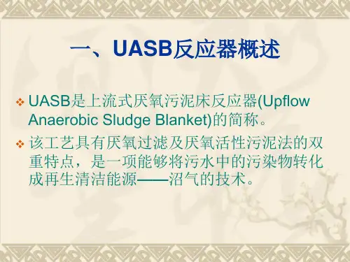 上流式厌氧污泥床反应器UASB