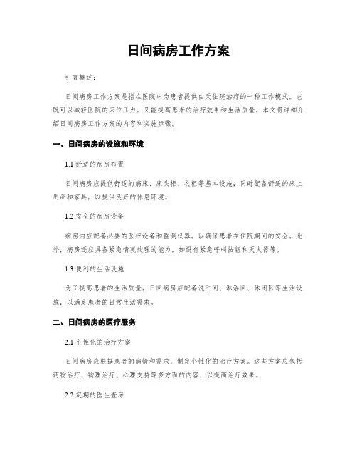 日间病房工作方案