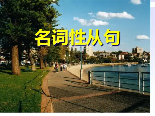高中英语名词性从句详细讲解省公开课获奖课件市赛课比赛一等奖课件