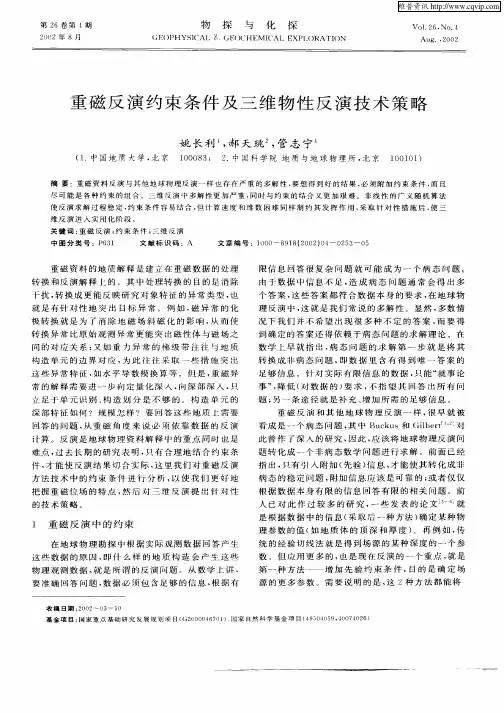 重磁反演约束条件及三维物性反演技术策略