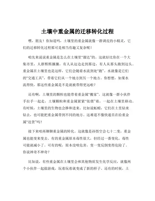 土壤中重金属的迁移转化过程
