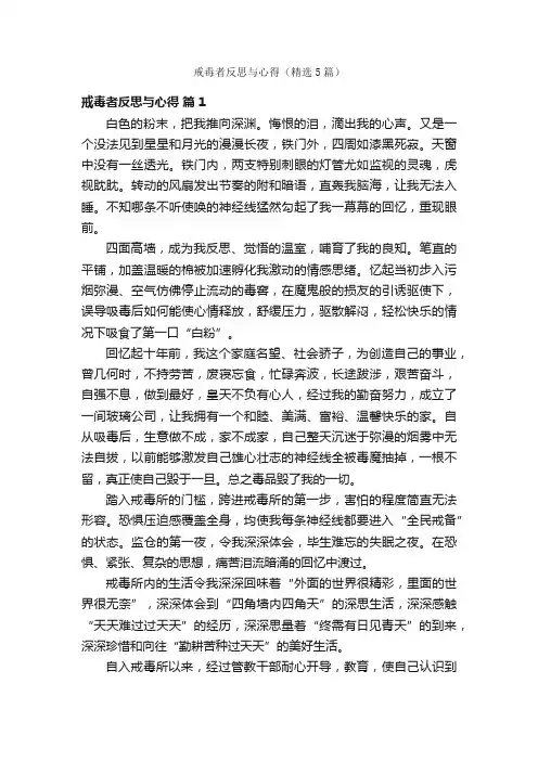 戒毒者反思与心得（精选5篇）