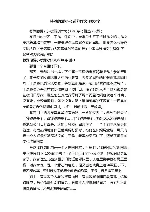 特殊的爱小考满分作文800字