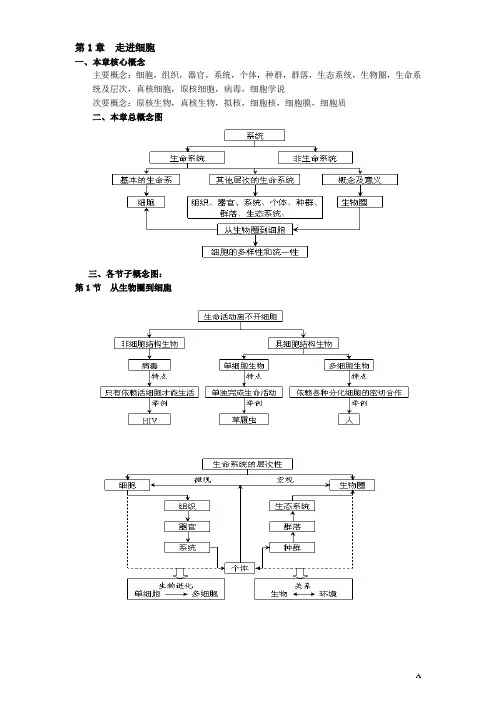 高中生物必修1思维导图及 部分彩图