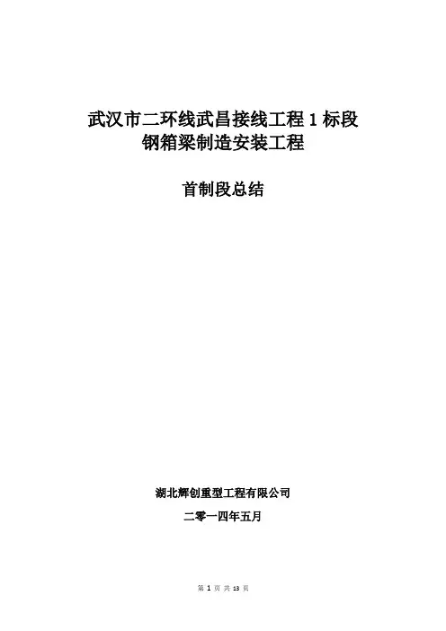 武昌接线工程钢箱梁评审报告讲解
