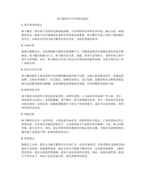 柿子醋项目可行性研究报告