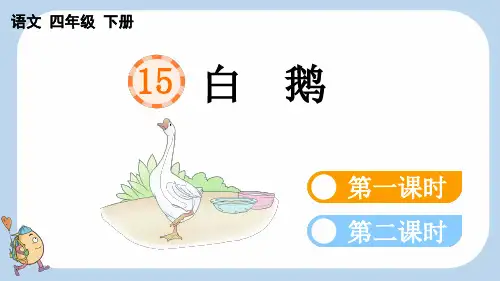 四年级语文下册教学课件《白鹅》