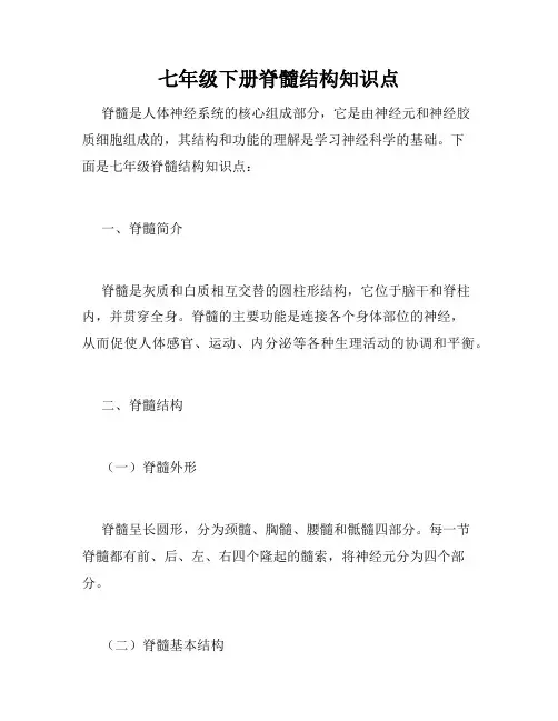 七年级下册脊髓结构知识点