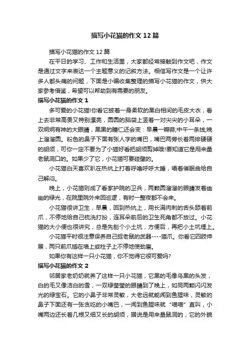描写小花猫的作文12篇