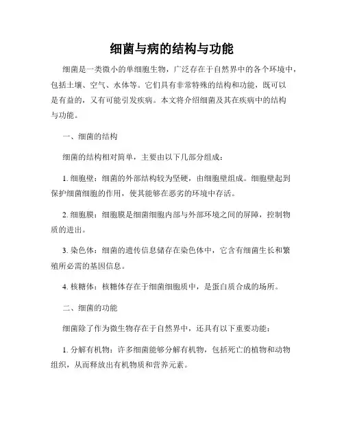 细菌与病的结构与功能
