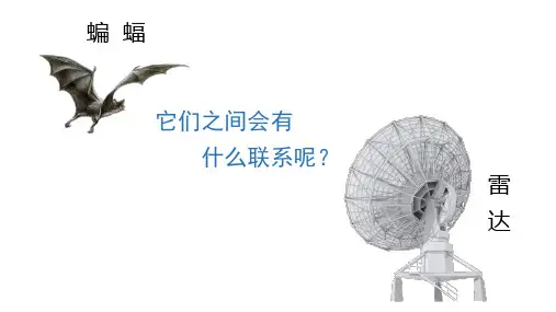 部编四年级上册语文(上课课件)6.蝙蝠和雷达