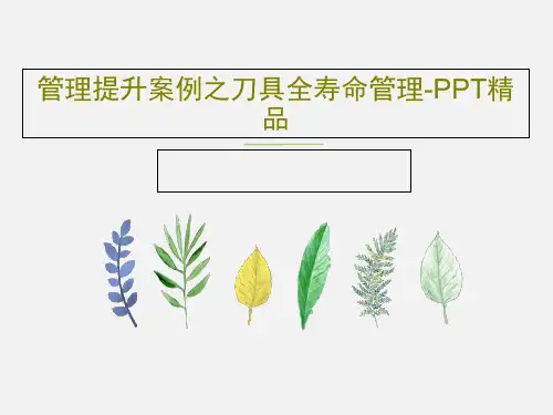 管理提升案例之刀具全寿命管理-PPT精品PPT22页