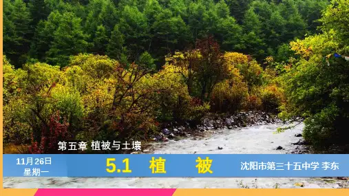 第五章第一节：植被 (17张PPT)