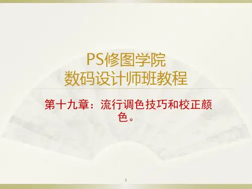 Photoshop流行调色技巧和校正颜色ppt课件