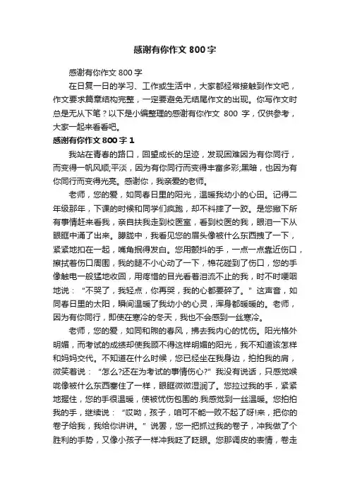 感谢有你作文800字