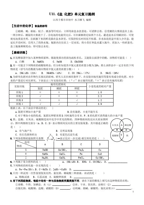 U11.《盐 化肥》中考单元复习提纲
