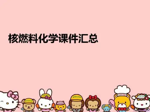 【精品】核燃料化学课件汇总教学资料