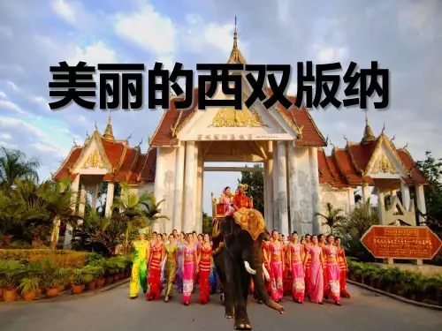 《美丽的西双版纳》PPT课件二