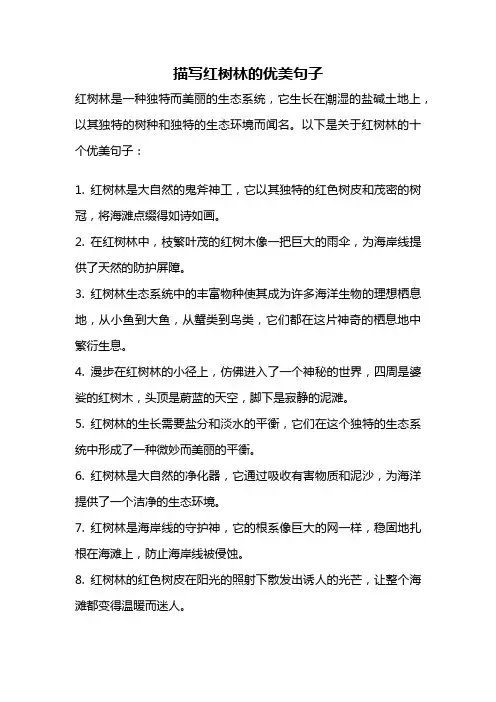 描写红树林的优美句子