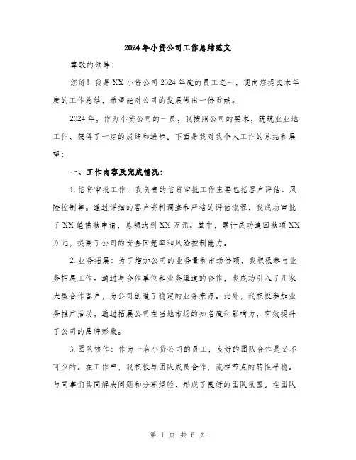 2024年小贷公司工作总结范文(二篇)