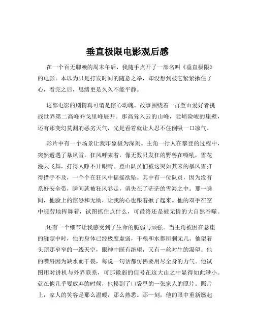 垂直极限电影观后感