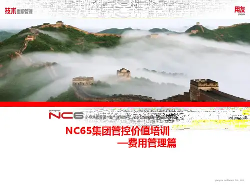 NC6.5产品价值培训-费用管理篇(全集2)