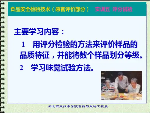 感官评价-评分实验