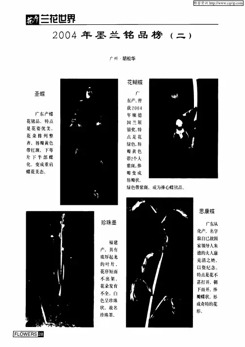 2004年墨兰铭品榜(二)
