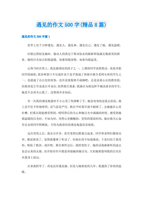 遇见的作文500字(精品8篇)