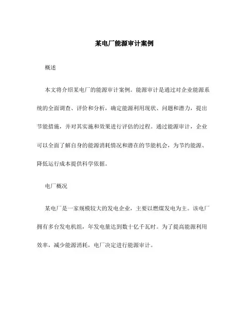 某电厂能源审计案例