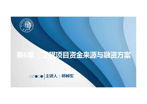 02-6.3 项目资本金及债务融资PPT