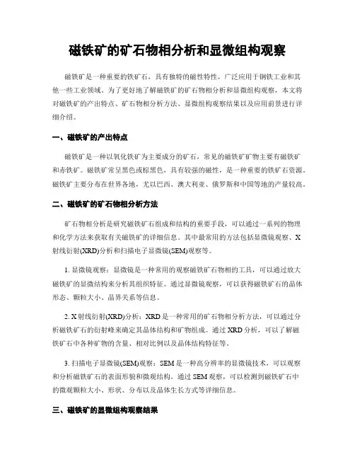 磁铁矿的矿石物相分析和显微组构观察