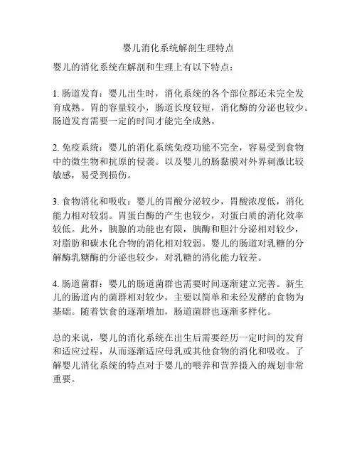 婴儿消化系统解剖生理特点