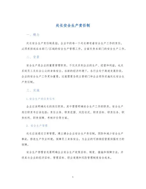 处长安全生产责任制