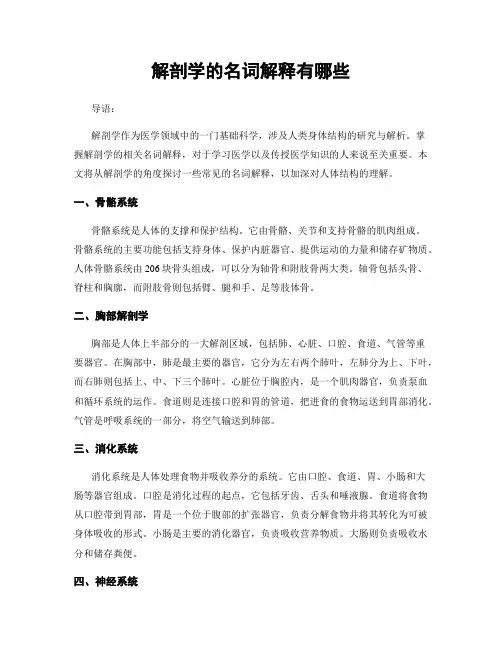 解剖学的名词解释有哪些