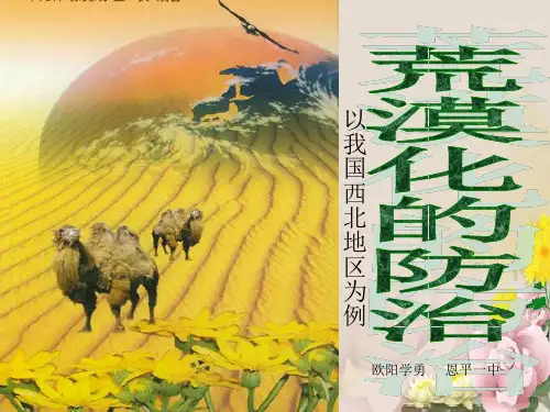 荒漠化的防治——以我国西北地区为例ppt11 人教课标版