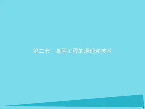 高中生物第一章基因工程1.2基因工程的原理和技术课件浙科版选修3