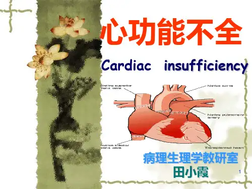 心功能不全 PPT课件