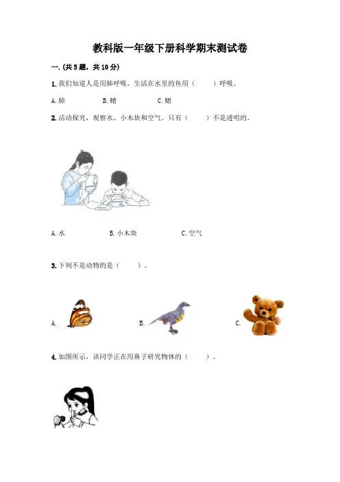 教科版一年级下册科学期末测试卷附参考答案(考试直接用)
