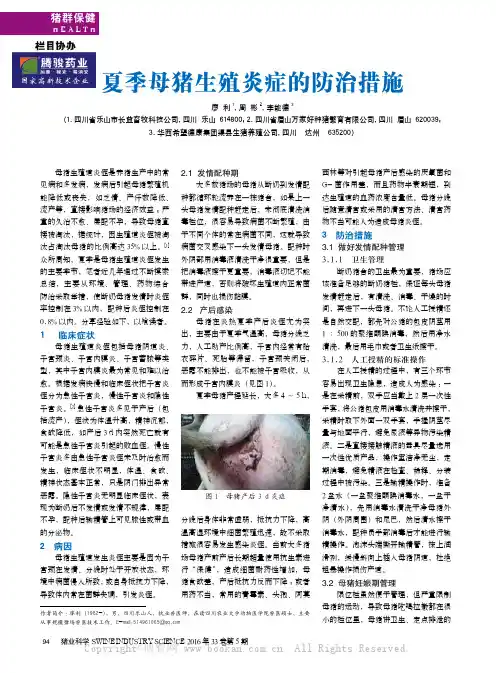 夏季母猪生殖炎症的防治措施