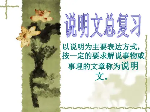 中考语文复习课件---说明文知识点